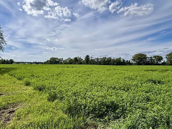 22 Acres of Agricultural Land for Sale in Sturgis, Michigan