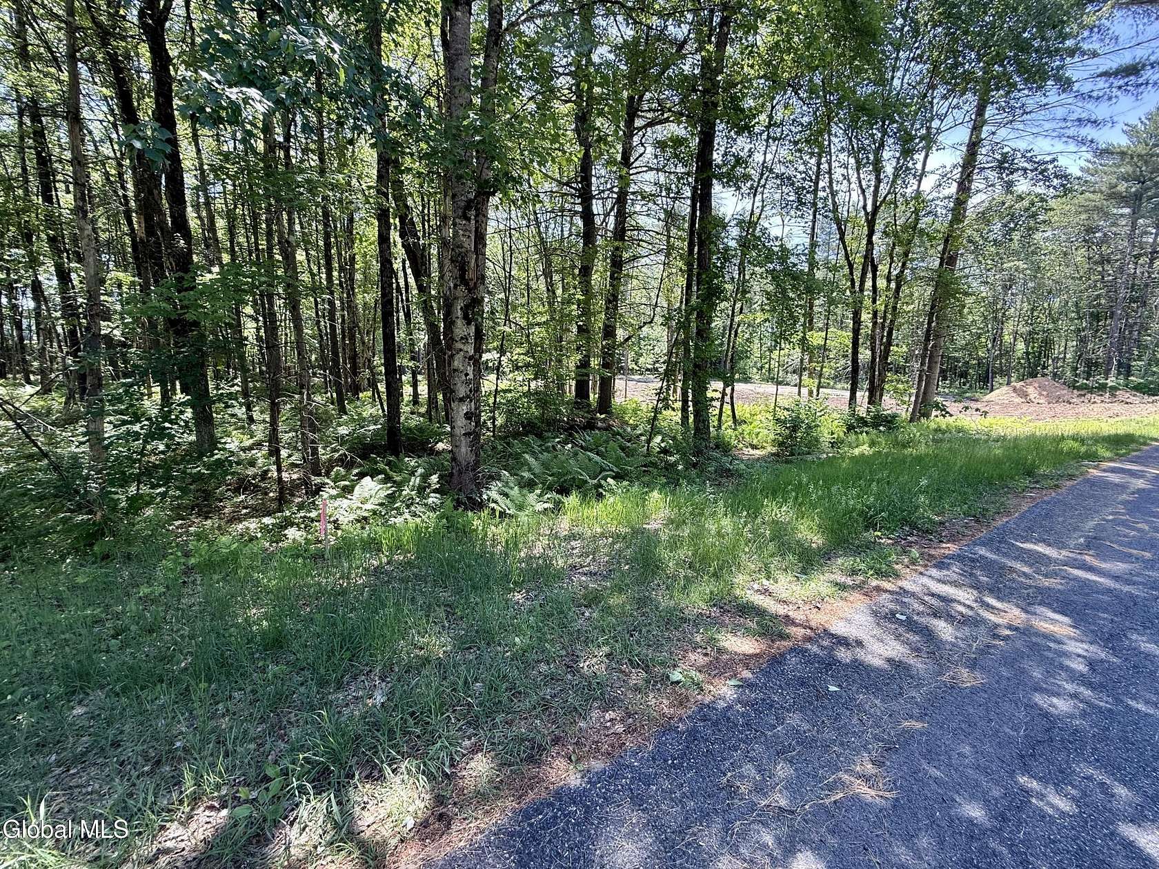 1 Acre of Residential Land for Sale in Ballston Spa, New York