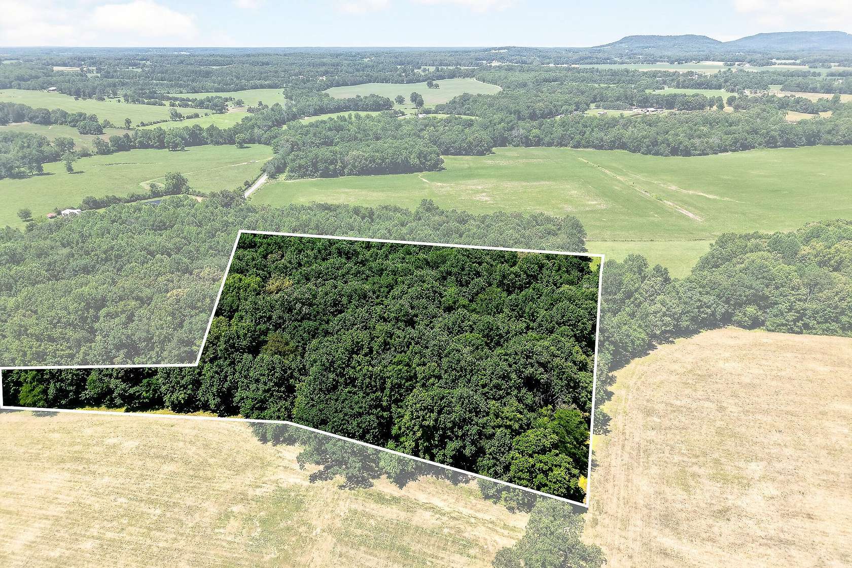 5 Acres of Land for Auction in Smithville, Tennessee