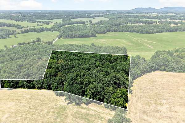 5 Acres of Land for Auction in Smithville, Tennessee