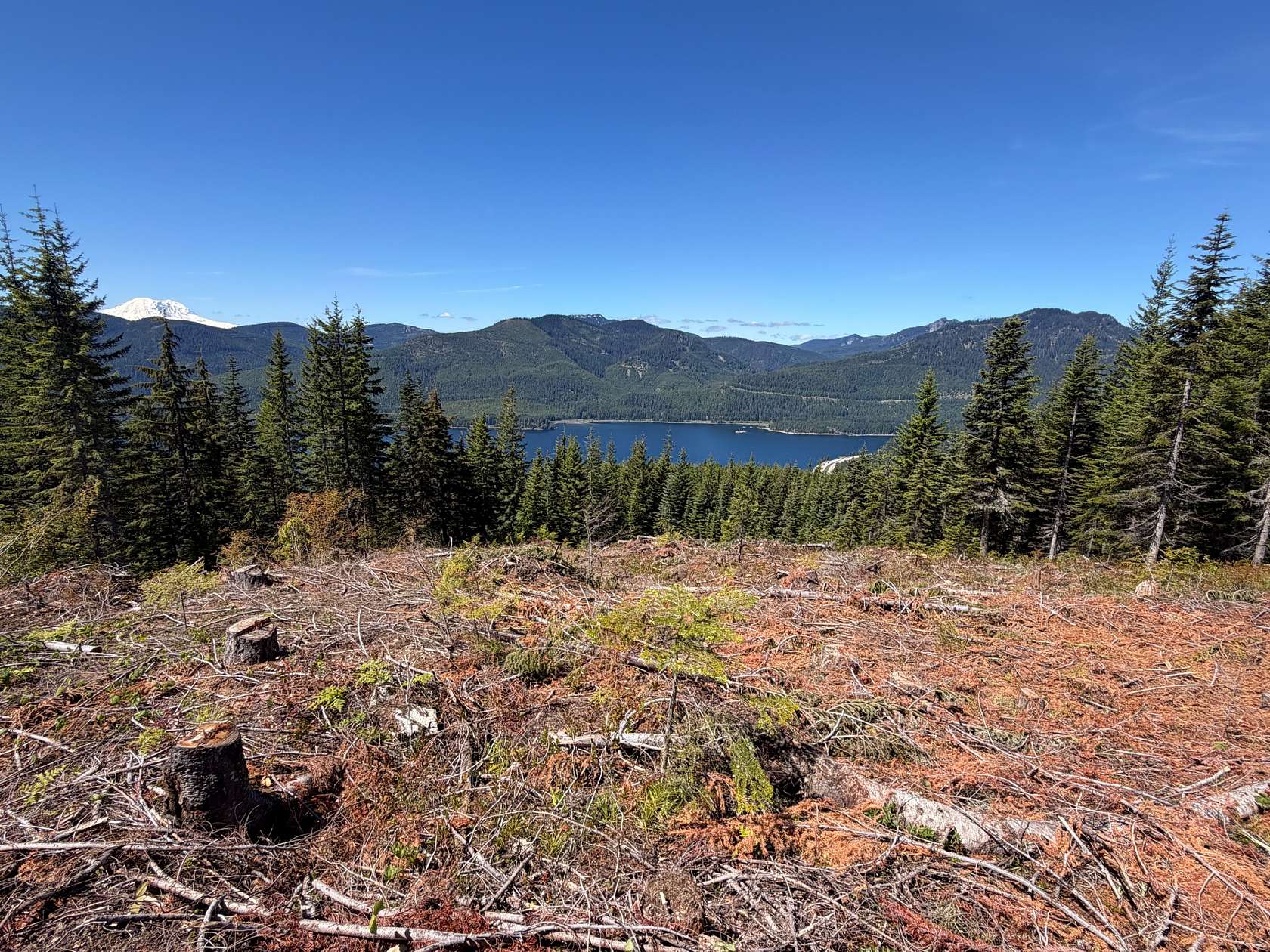 84.7 Acres of Recreational Land for Sale in Snoqualmie Pass, Washington