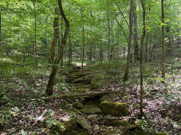 83 Acres of Recreational Land for Sale in Oakman, Alabama