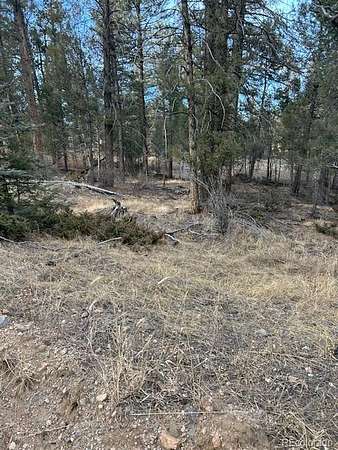 2 Acres of Residential Land for Sale in Florissant, Colorado