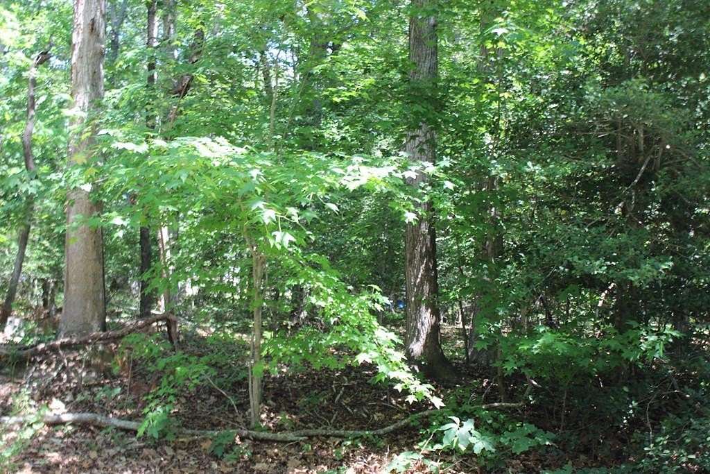 0.25 Acres of Residential Land for Sale in Greenbackville, Virginia