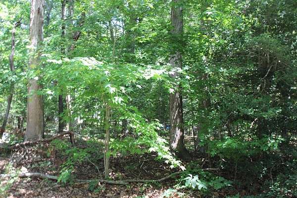 0.25 Acres of Residential Land for Sale in Greenbackville, Virginia