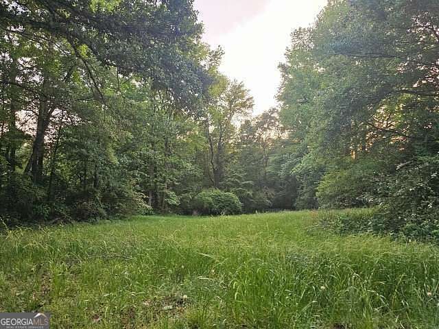 7 Acres of Residential Land for Sale in Roopville, Georgia