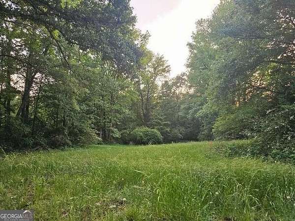 7 Acres of Residential Land for Sale in Roopville, Georgia