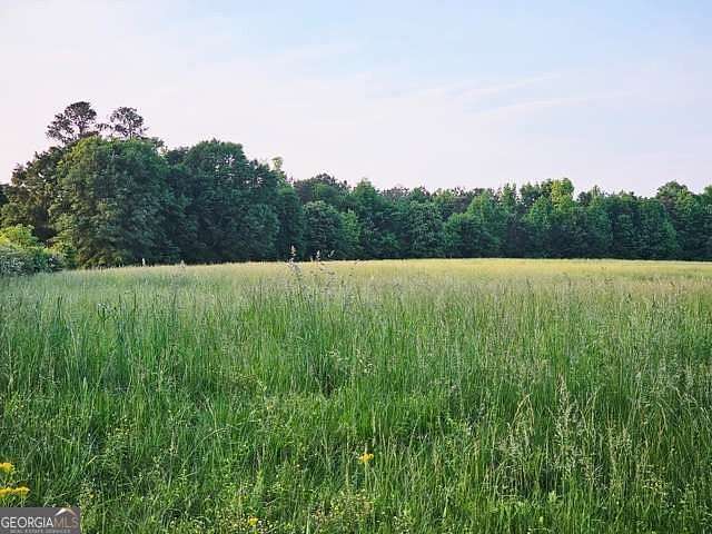 4.43 Acres of Residential Land for Sale in Roopville, Georgia