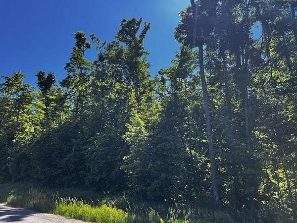 10.4 Acres of Recreational Land for Sale in Wolverine, Michigan