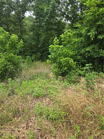 0.23 Acres of Land for Sale in Bella Vista, Arkansas