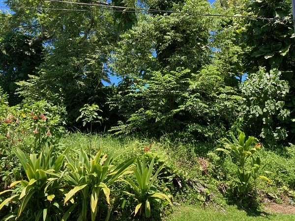 0.2 Acres of Residential Land for Sale in Pahoa, Hawaii