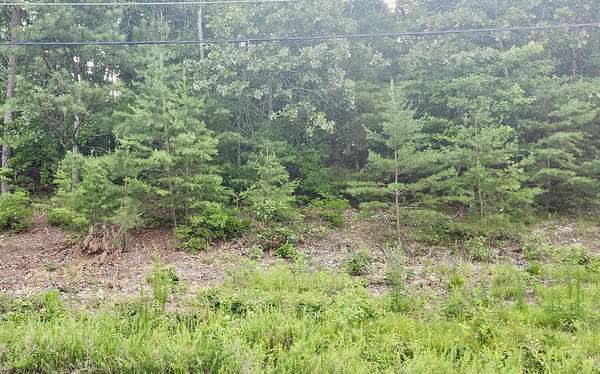 0.65 Acres of Residential Land for Sale in Harrison, Tennessee