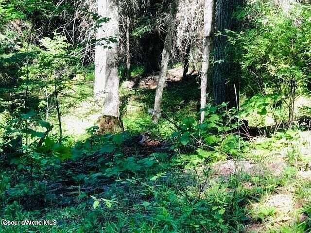 0.46 Acres of Land for Sale in St. Maries, Idaho