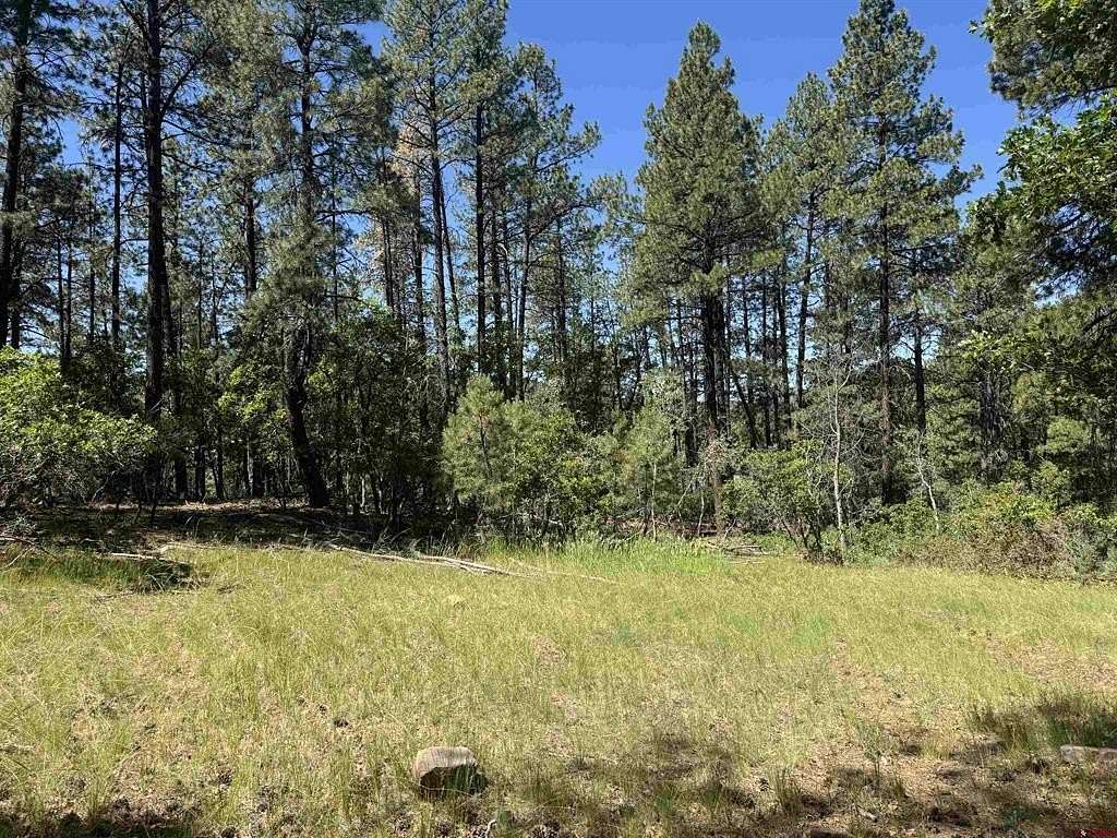 1 Acre of Land for Sale in Bayfield, Colorado