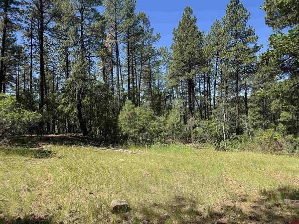 1 Acre of Land for Sale in Bayfield, Colorado