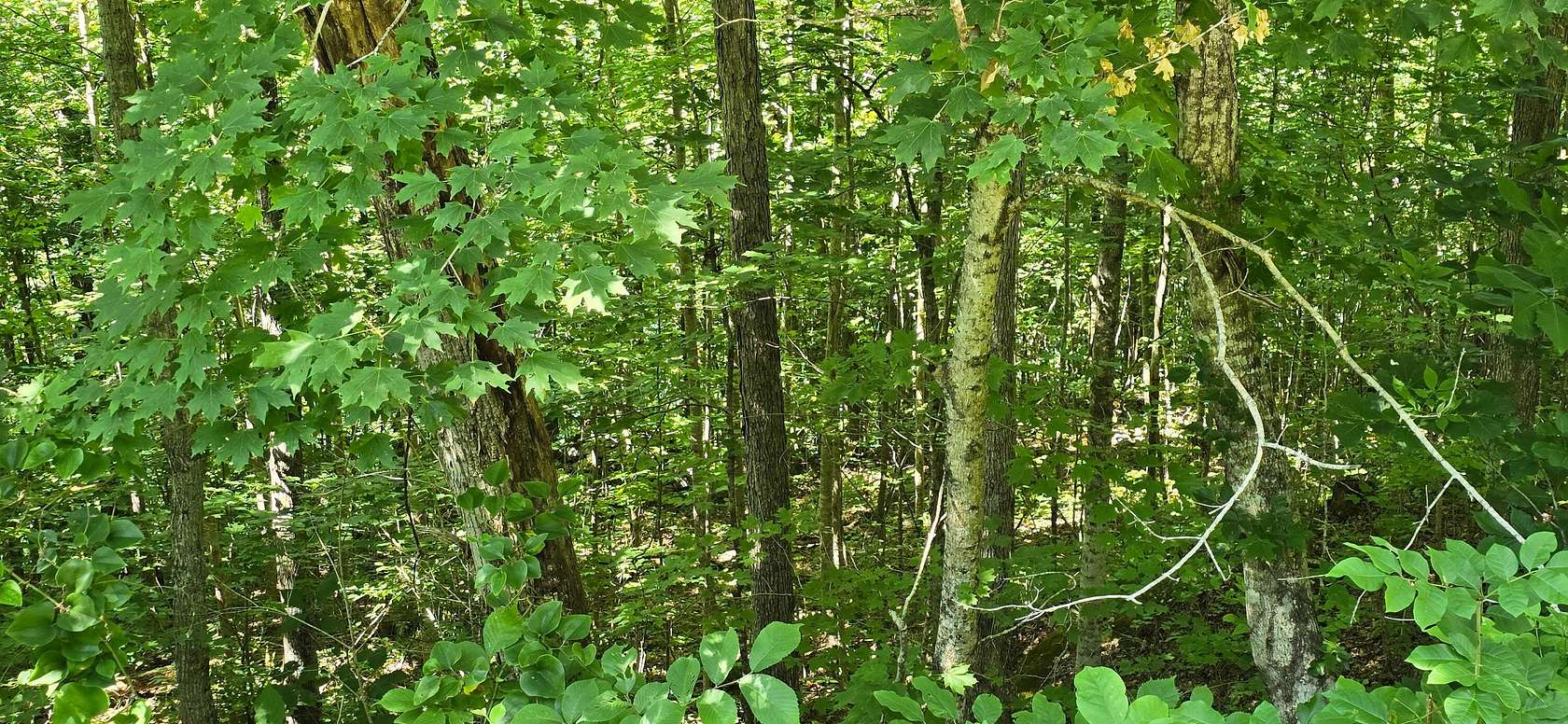 0.44 Acres of Residential Land for Sale in Burnside, Kentucky