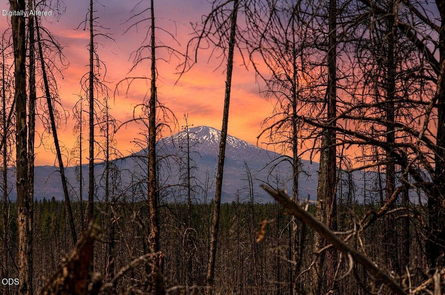 10 Acres of Recreational & Residential Land for Sale in La Pine, Oregon