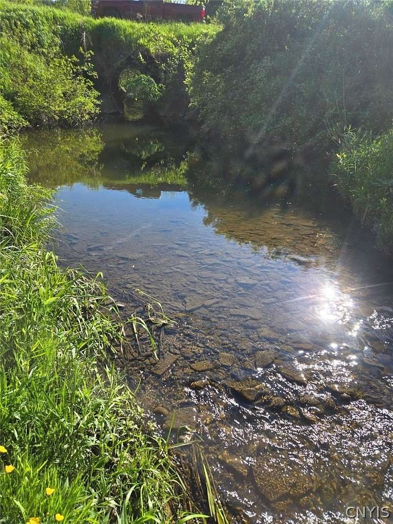 53.1 Acres of Recreational & Residential Land for Sale in Warsaw, New York