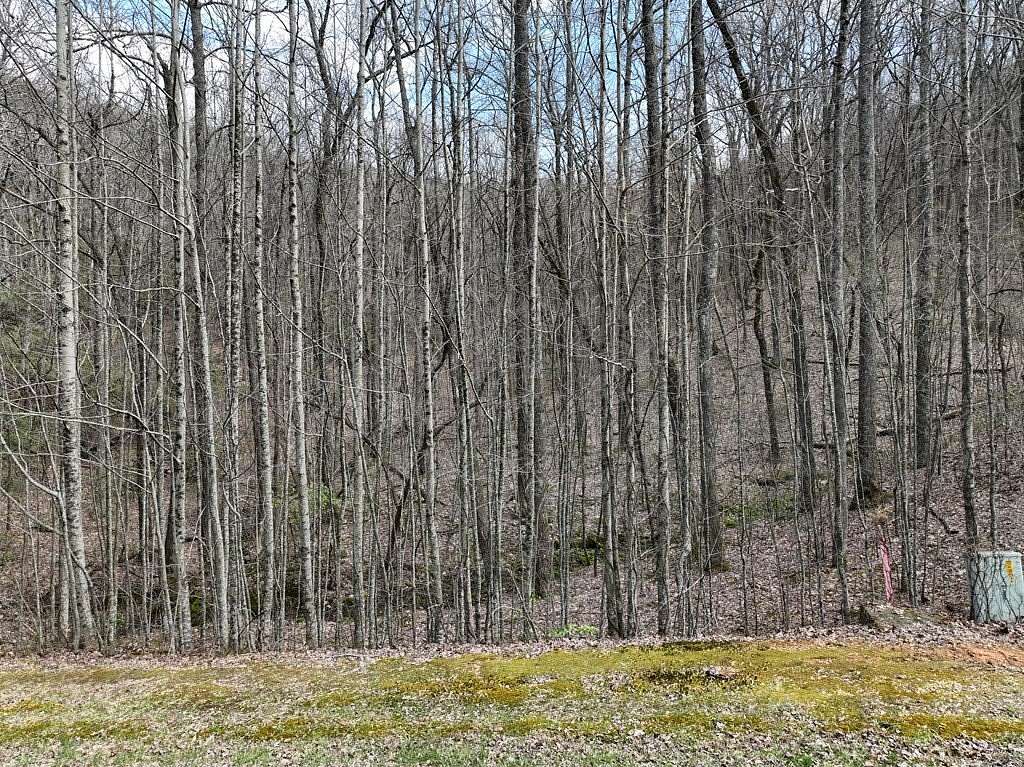 3 Acres of Residential Land for Sale in Ellijay, Georgia