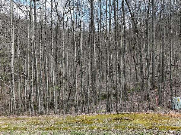 3 Acres of Residential Land for Sale in Ellijay, Georgia