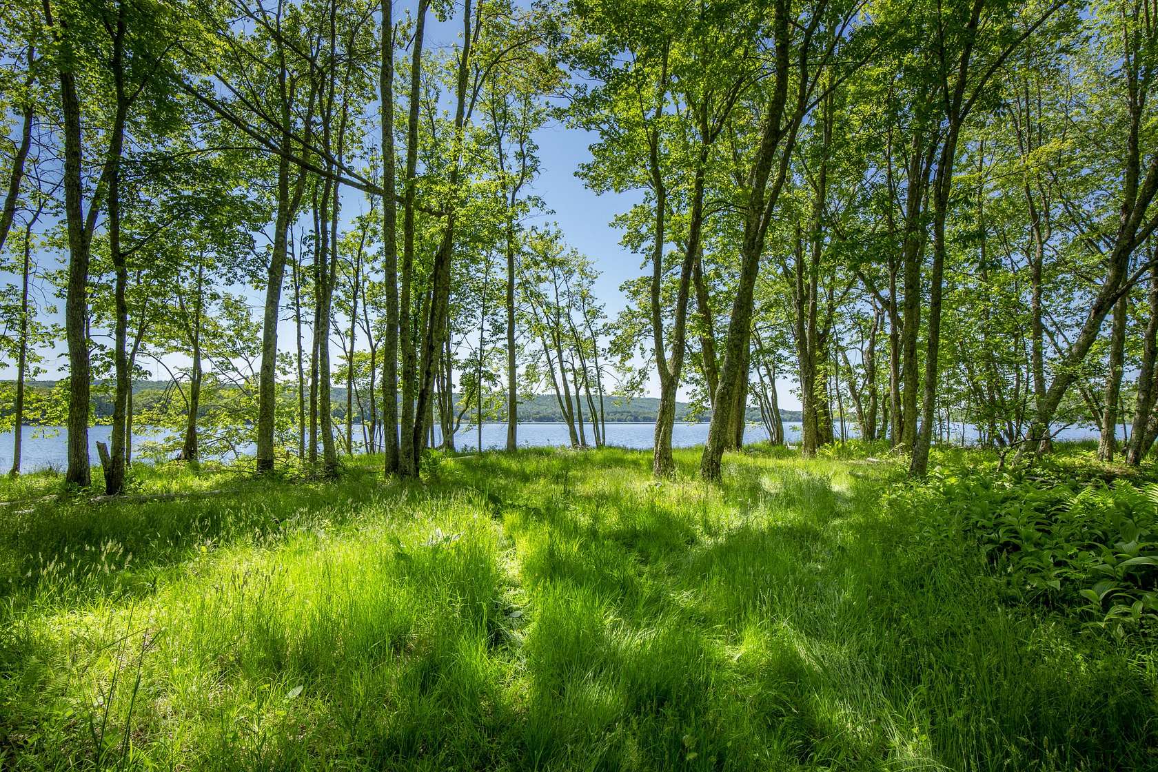 142 Acres of Land with Home for Sale in Appleton, Maine