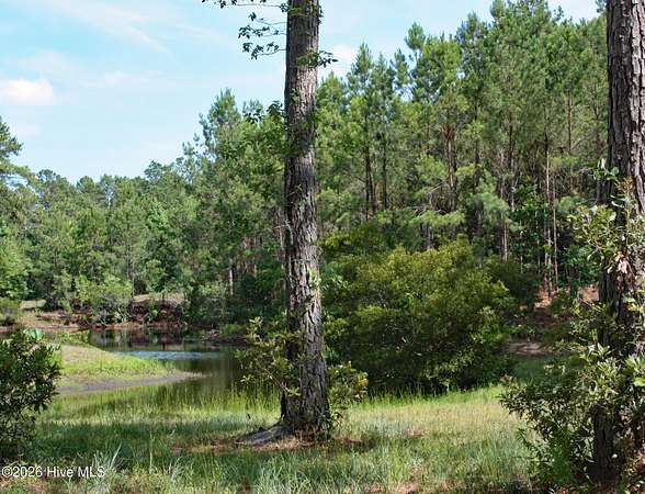 0.21 Acres of Residential Land for Sale in Ocean Isle Beach, North Carolina