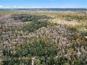 5 Acres of Land for Sale in Kissimmee, Florida