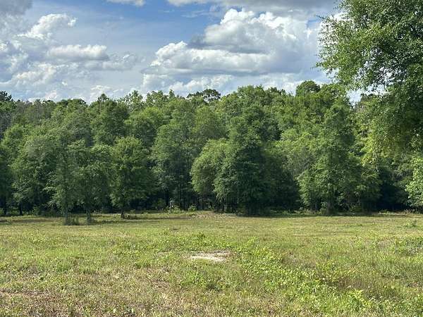10.3 Acres of Recreational & Residential Land for Sale in Florala, Alabama