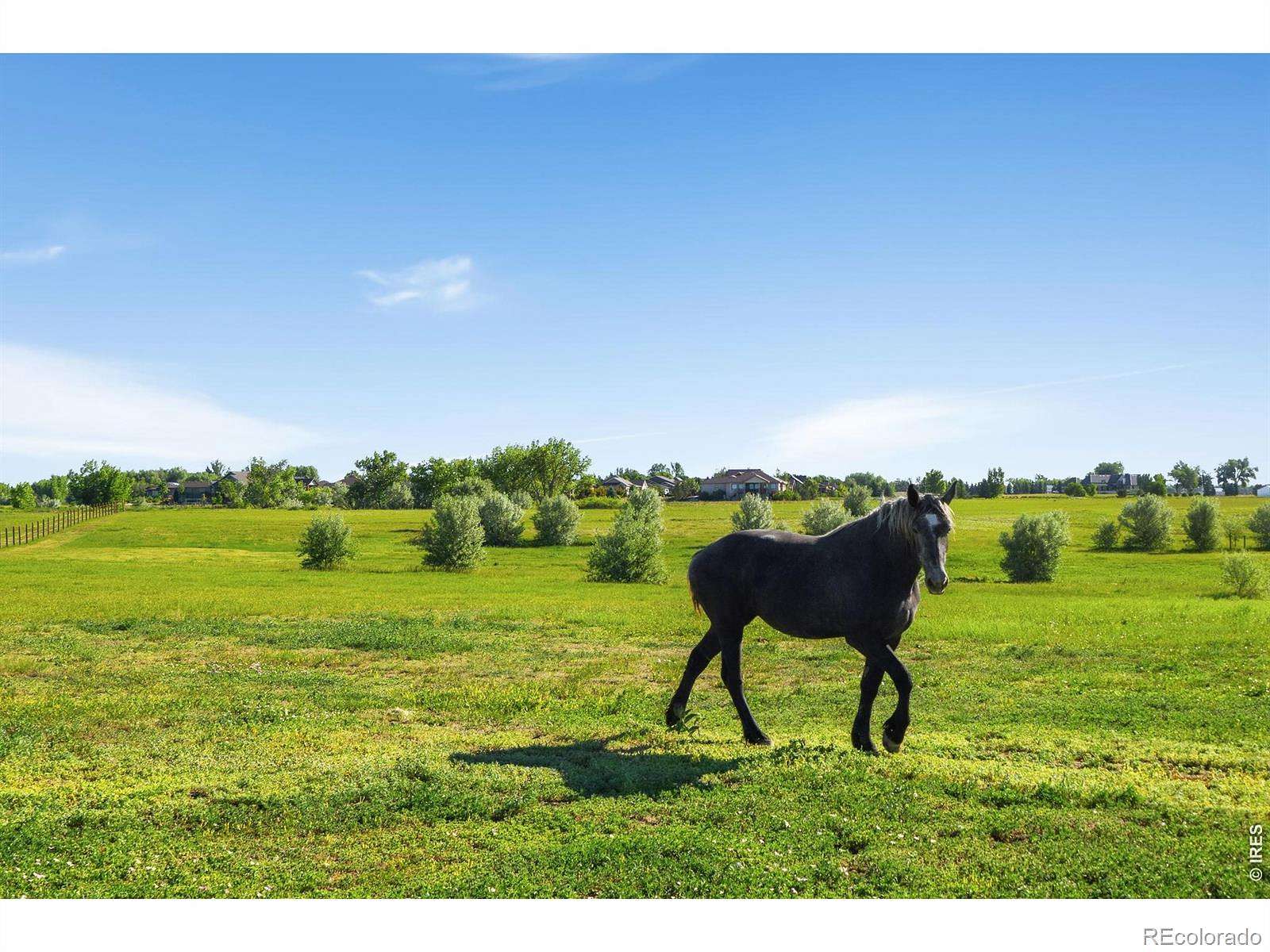 31.3 Acres of Improved Land for Sale in Fort Collins, Colorado