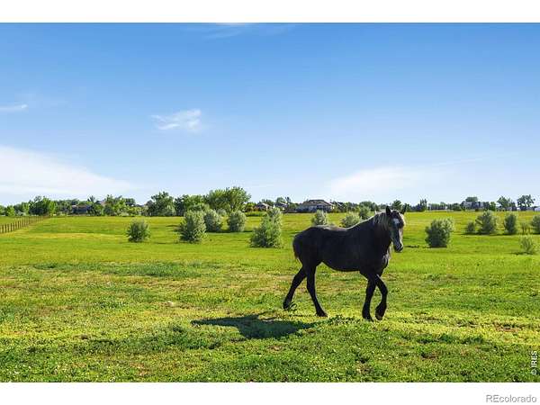 31.3 Acres of Improved Land for Sale in Fort Collins, Colorado