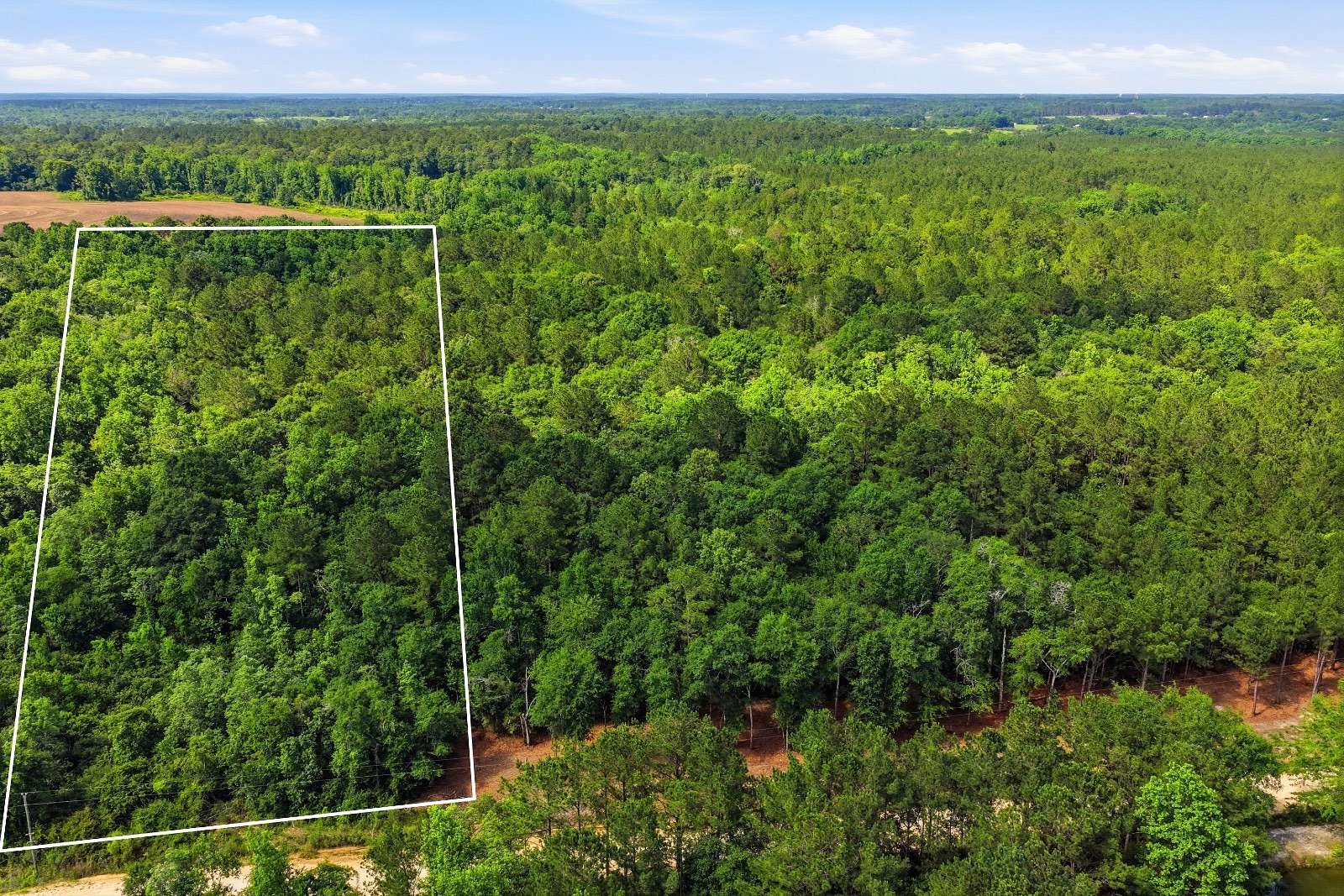 10 Acres of Recreational & Residential Land for Sale in Opp, Alabama