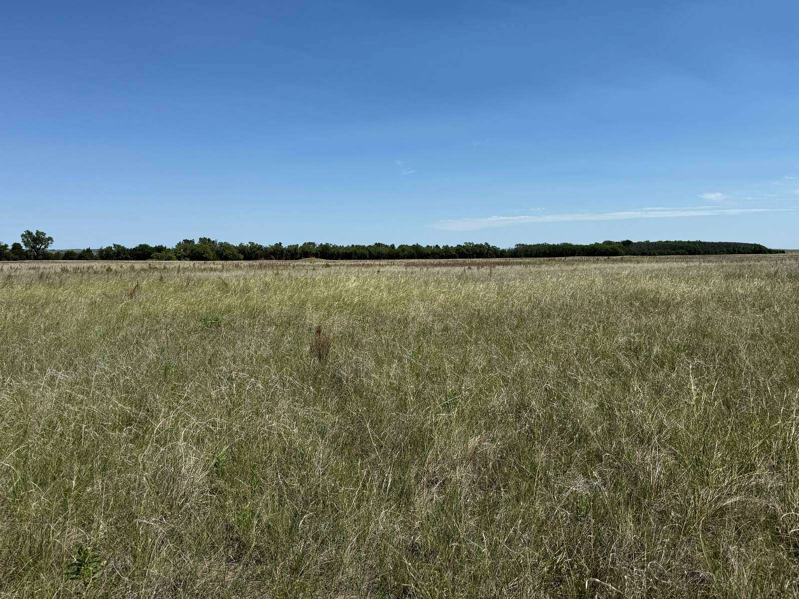 360 Acres of Agricultural Land for Sale in O'Neill, Nebraska