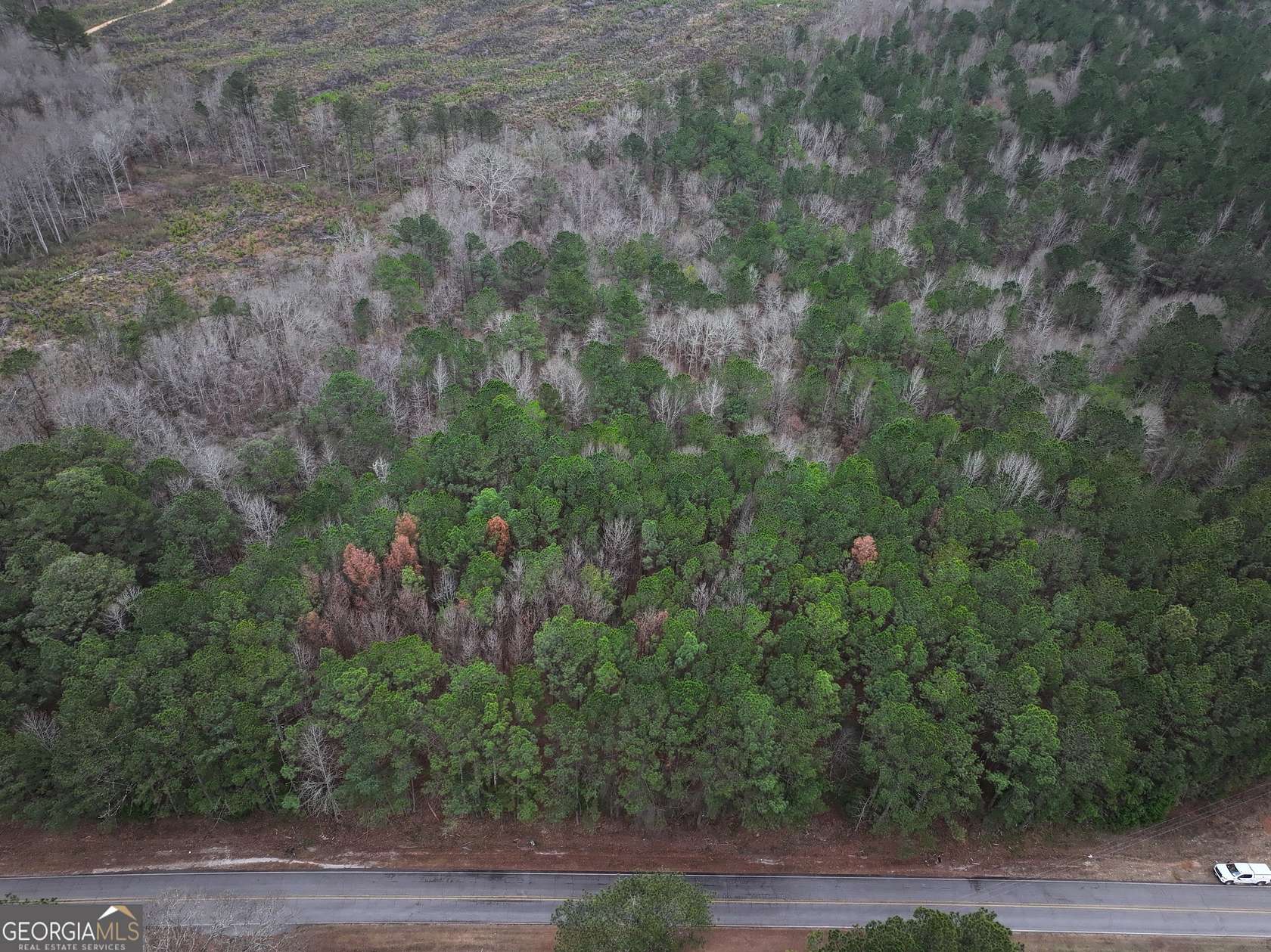12 Acres of Land for Sale in Franklin, Georgia