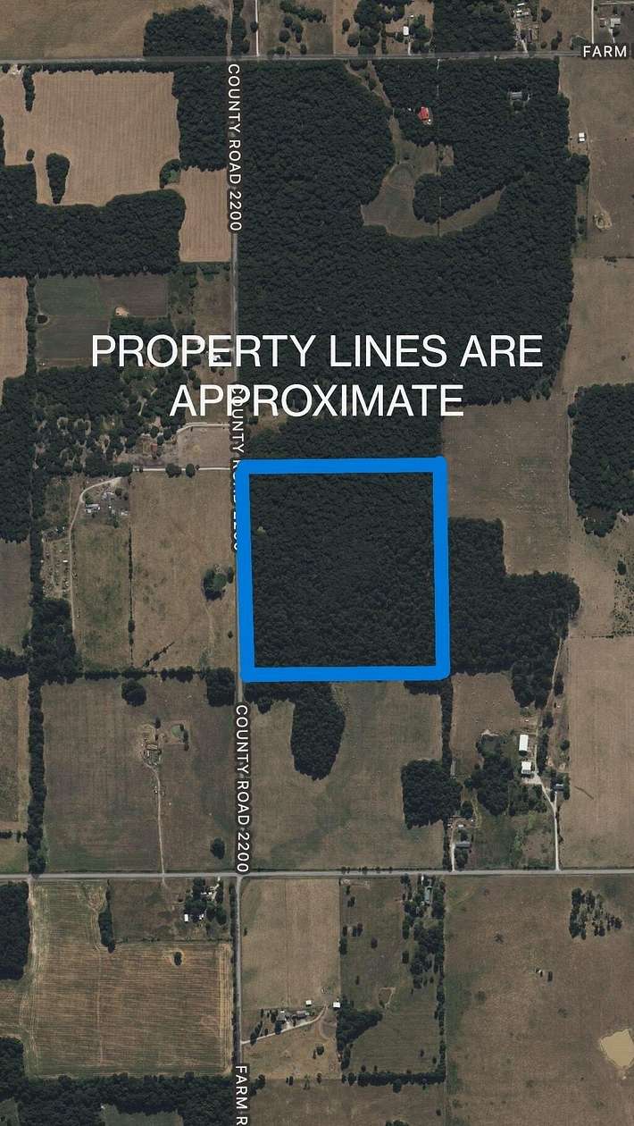 40 Acres of Recreational & Residential Land for Sale in Wentworth, Missouri