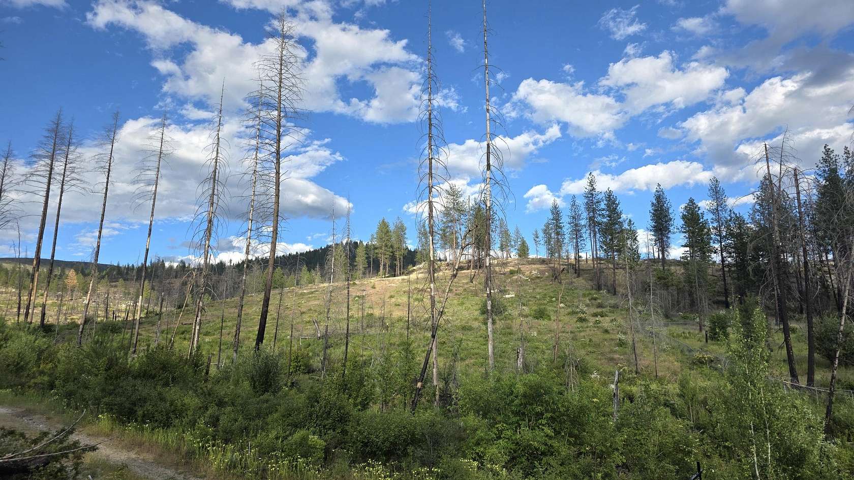 10 Acres of Residential Land for Sale in Springdale, Washington