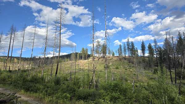 10 Acres of Residential Land for Sale in Springdale, Washington