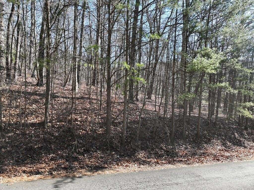 3 Acres of Residential Land for Sale in Ellijay, Georgia