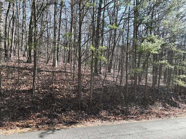 3 Acres of Residential Land for Sale in Ellijay, Georgia