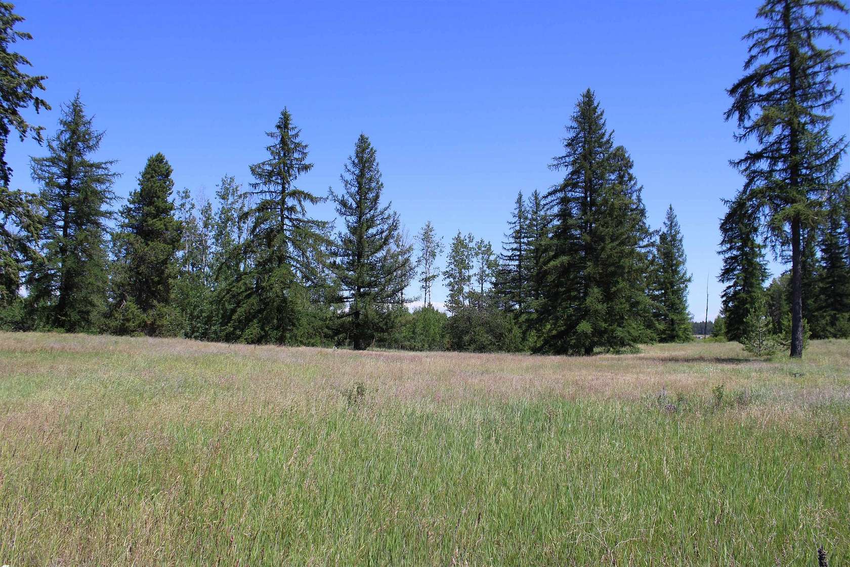 20 Acres of Agricultural Land for Sale in Clayton, Washington
