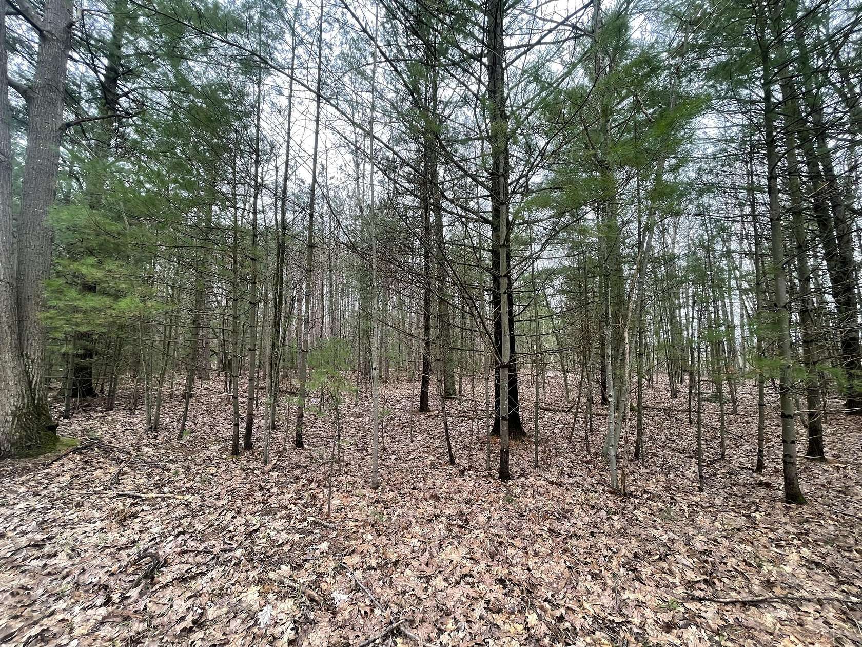 9.5 Acres of Residential Land for Sale in Free Soil, Michigan
