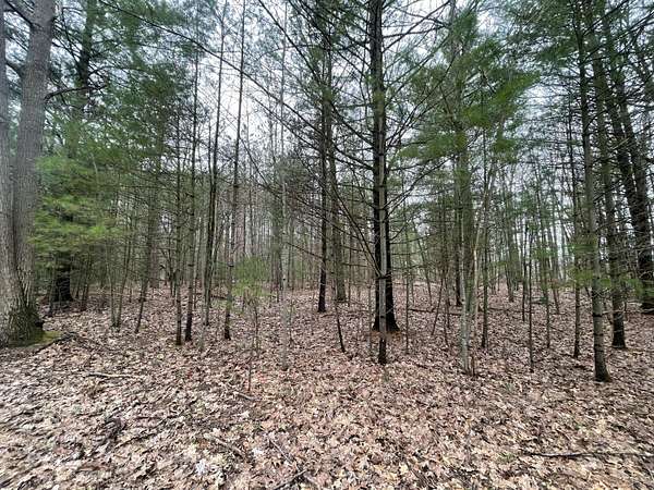9.5 Acres of Residential Land for Sale in Free Soil, Michigan