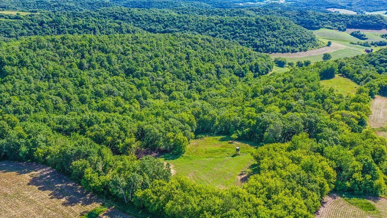 37 Acres of Recreational & Residential Land for Sale in Arcadia, Wisconsin