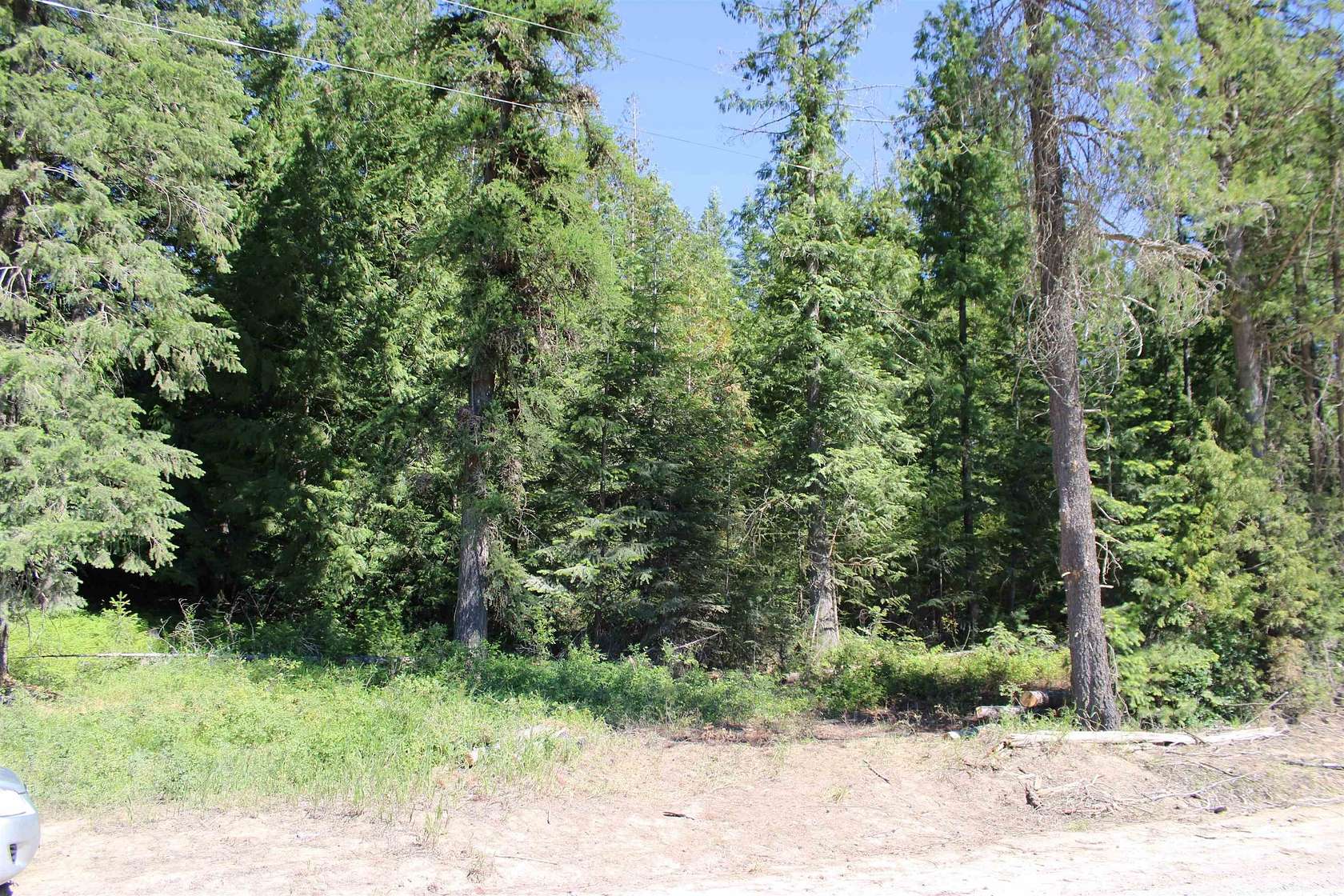 20 Acres of Recreational & Residential Land for Sale in Deer Park, Washington