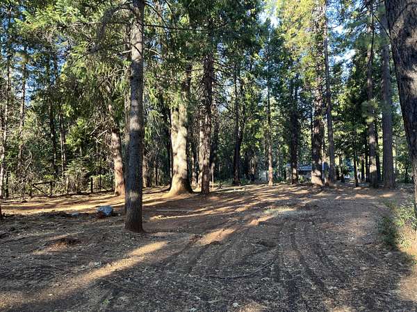 0.5 Acres of Land for Sale in Shingletown, California