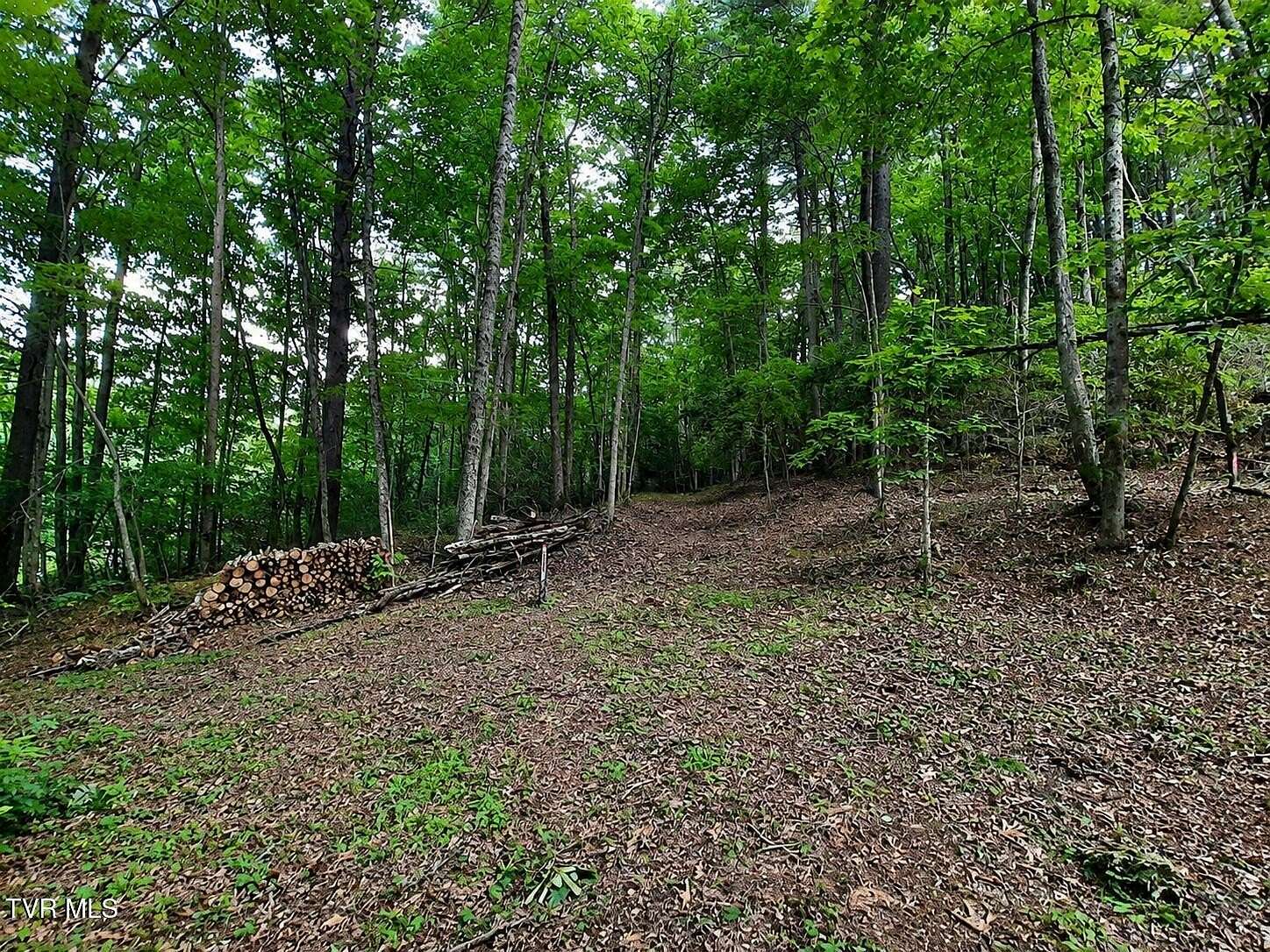 0.39 Acres of Residential Land for Sale in Greeneville, Tennessee