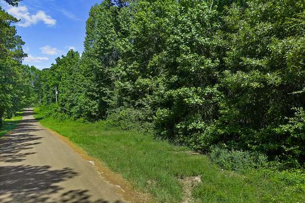 2 Acres of Residential Land for Sale in De Berry, Texas