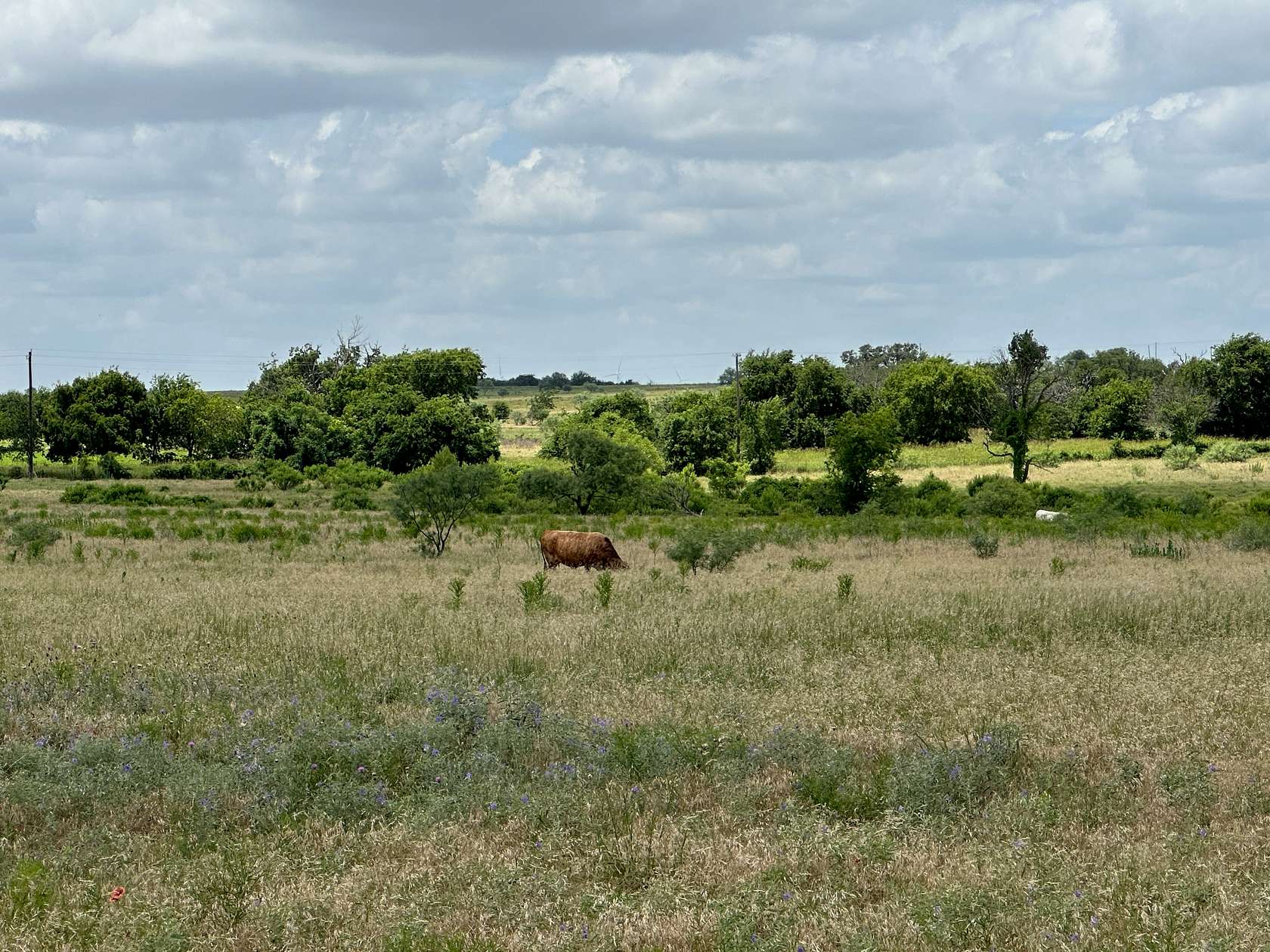 10 Acres of Land for Sale in Hamilton, Texas