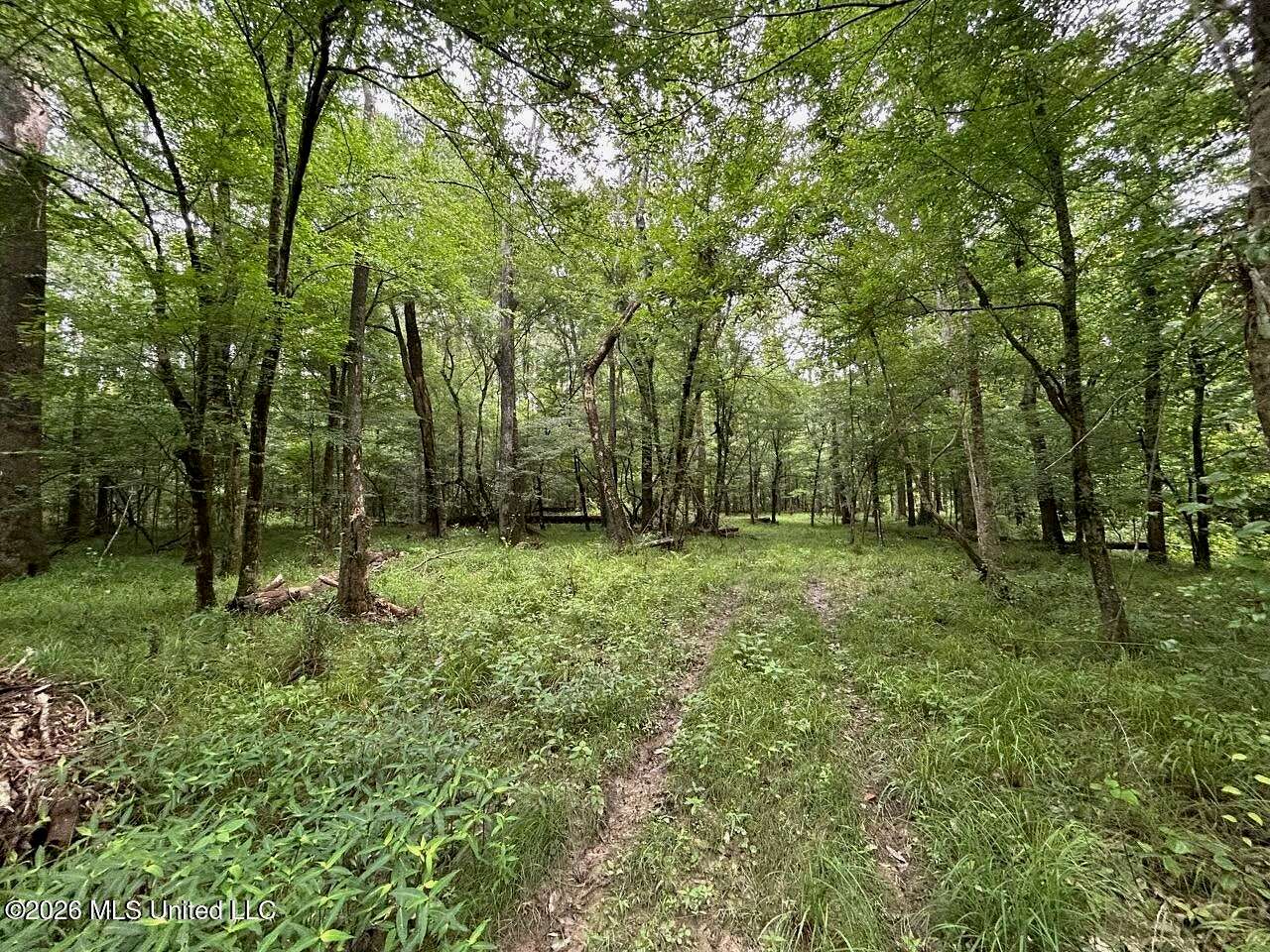 120 Acres of Land for Sale in Osyka, Mississippi