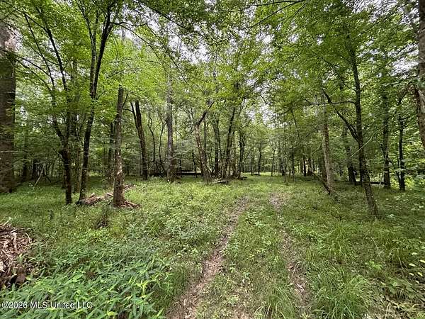 120 Acres of Land for Sale in Osyka, Mississippi