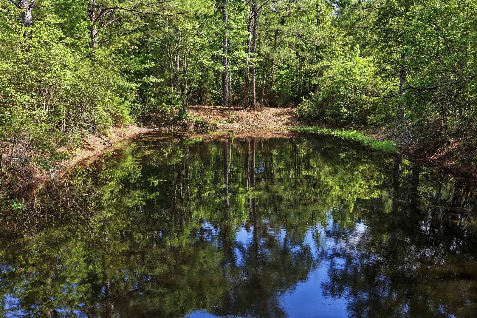 8.77 Acres of Residential Land for Sale in Opp, Alabama